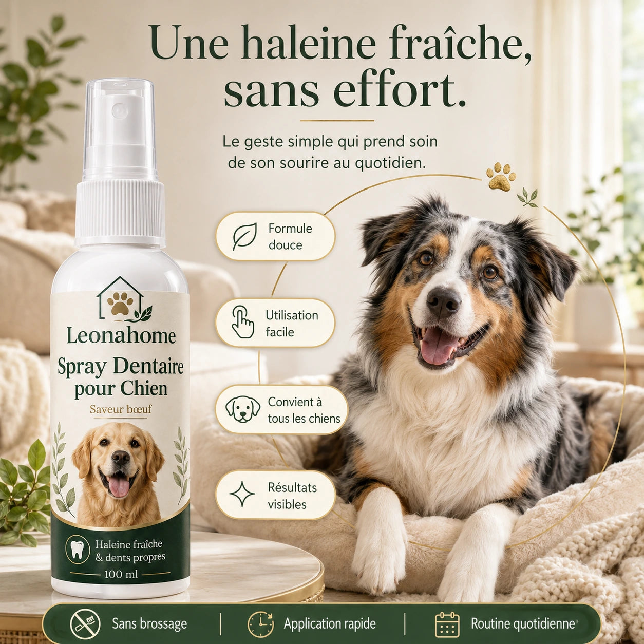 Spray Soin Buccodentaire pour Chien - Leonahome ™