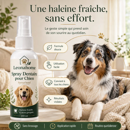 Spray Soin Buccodentaire pour Chien - Leonahome ™