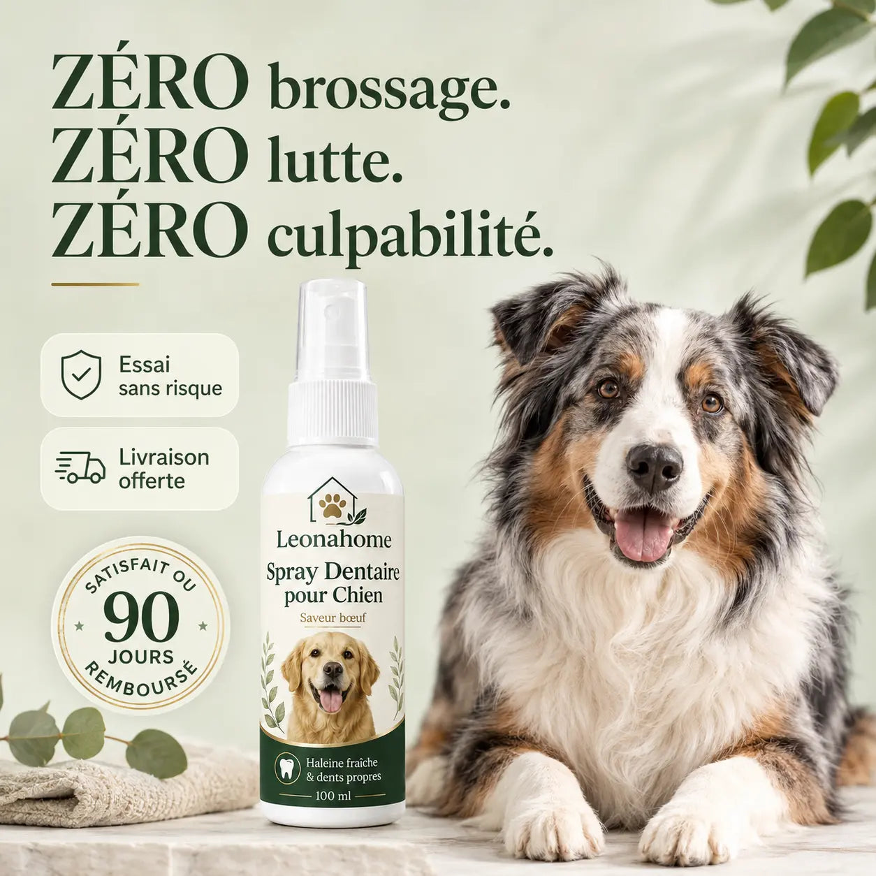 Spray Soin Buccodentaire pour Chien - Leonahome ™