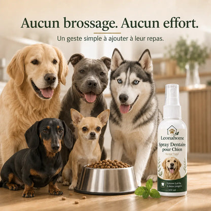 Spray Soin Buccodentaire pour Chien - Leonahome ™
