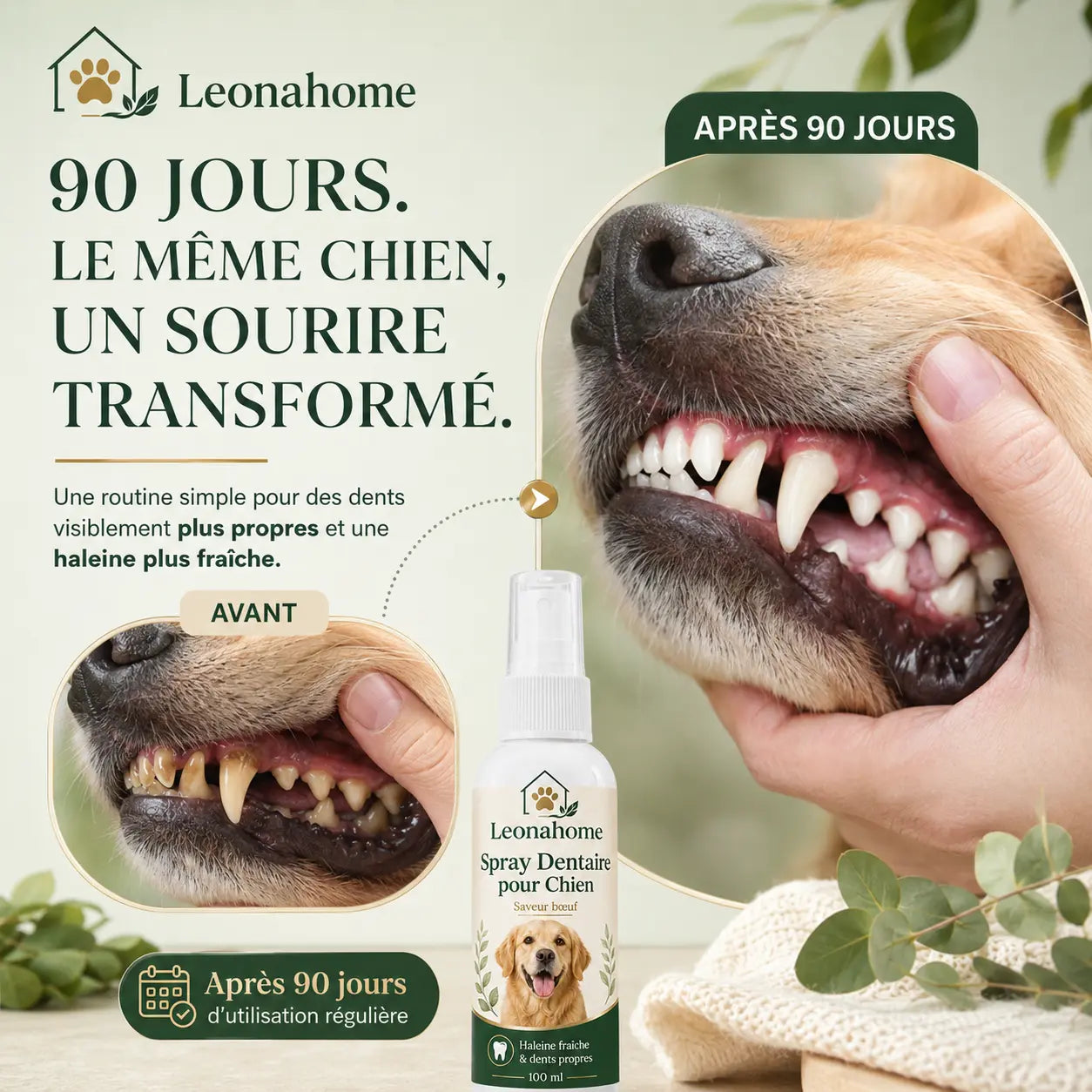 Spray Soin Buccodentaire pour Chien - Leonahome ™