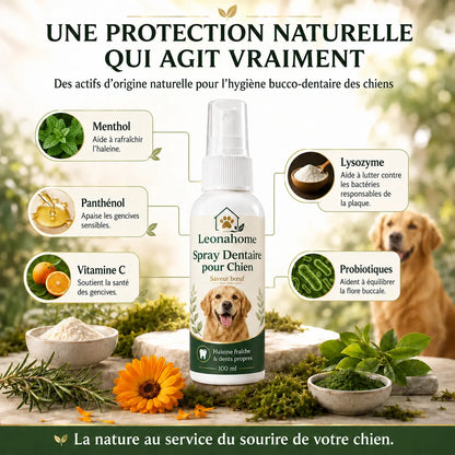 Spray Soin Buccodentaire pour Chien - Leonahome ™