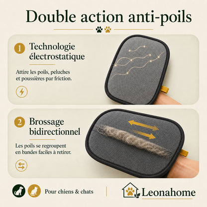 Captur'Poils - Leonahome ™